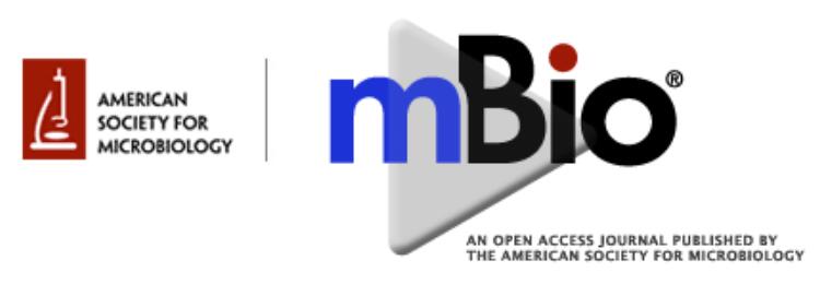 Cover of mBio, featuring study using the protocol.