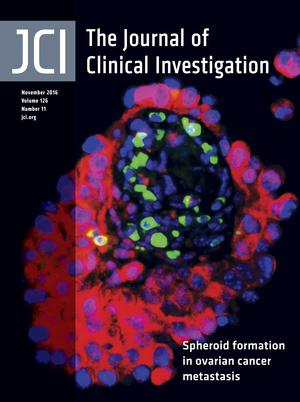 Cover of The Journal of Clinical Investigation, featuring study using the protocol.