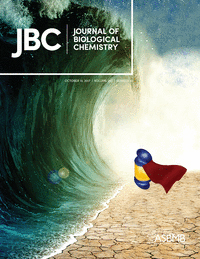 Cover of The Journal of Biological Chemistry, featuring study using the protocol.