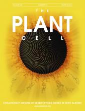 Cover of The Plant Cell, featuring study using the protocol.