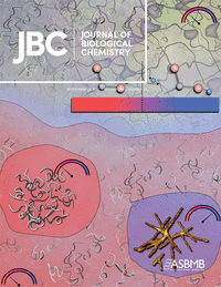 Cover of The Journal of Biological Chemistry, featuring study using the protocol.