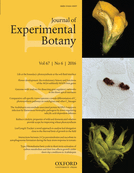Cover of Journal of Experimental Botany, featuring study using the protocol.