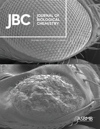 Cover of The Journal of Biological Chemistry, featuring study using the protocol.