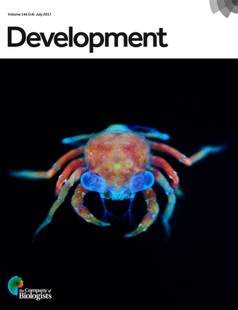Cover of Development, featuring study using the protocol.