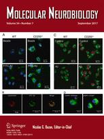 Cover of Molecular Neurobiology, featuring study using the protocol.
