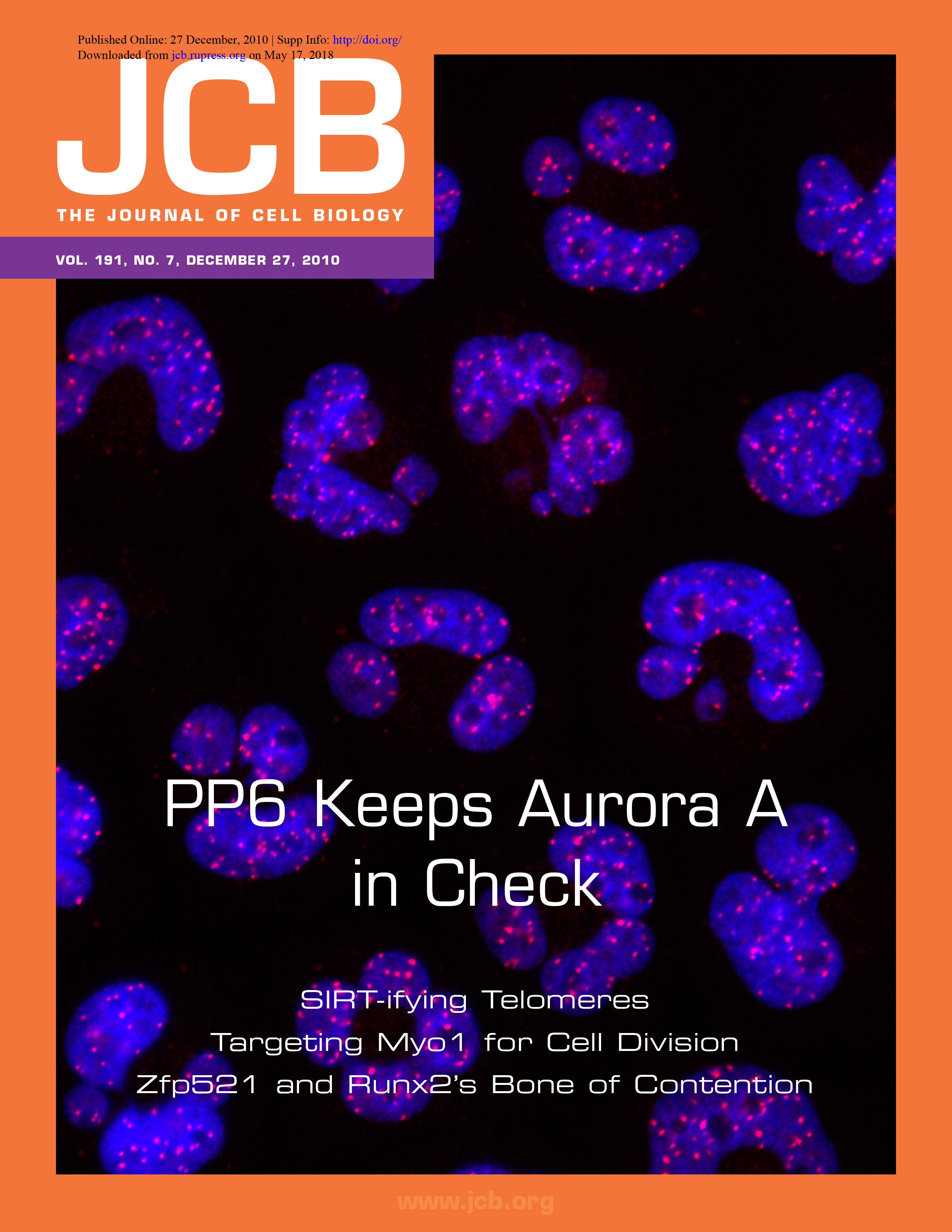 Cover of The Journal of Cell Biology, featuring study using the protocol.