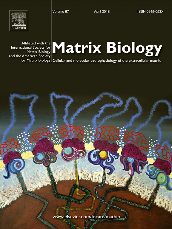 Cover of Matrix Biology, featuring study using the protocol.