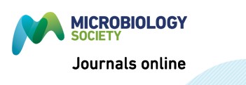 Cover of Microbiology, featuring study using the protocol.
