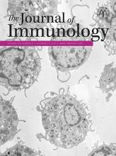 Cover of The Journal of Immunology, featuring study using the protocol.