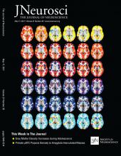 Cover of The Journal of Neuroscience, featuring study using the protocol.