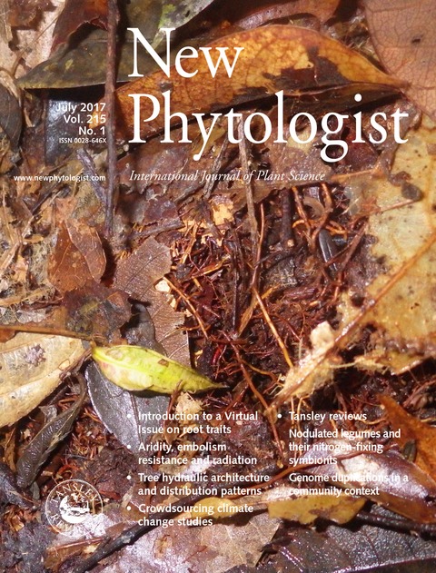 Cover of New Phytologist, featuring study using the protocol.