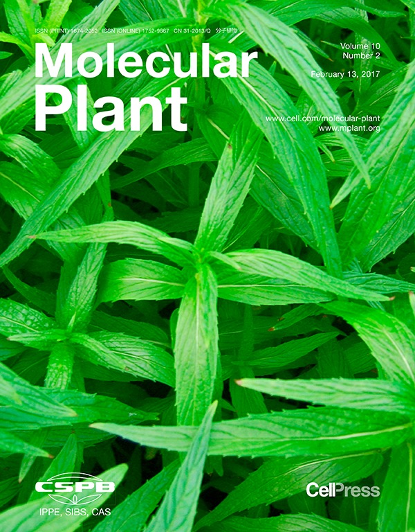 Cover of Molecular Plant, featuring study using the protocol.