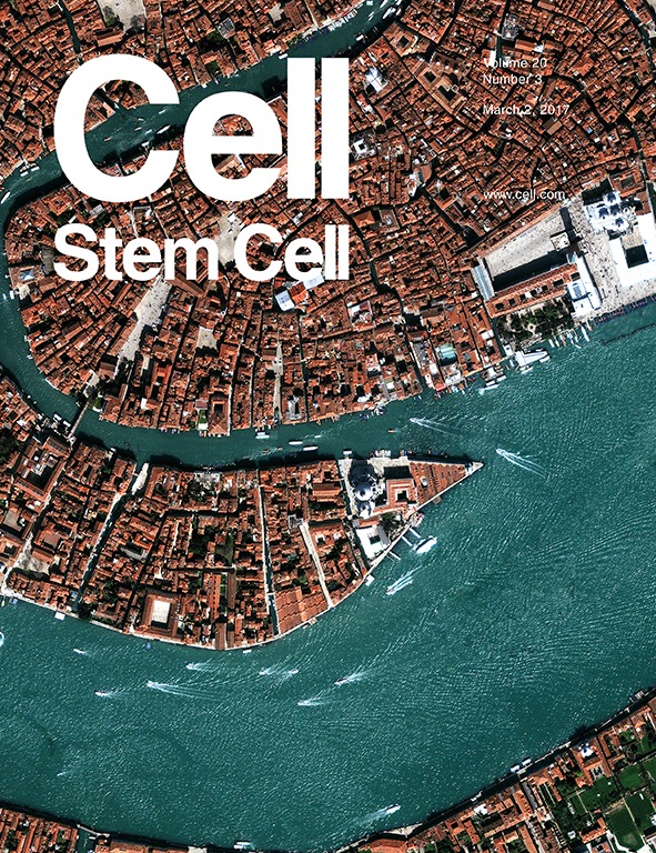 Cover of Cell Stem Cell, featuring study using the protocol.
