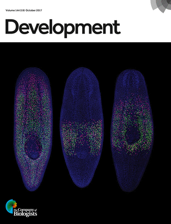 Cover of Development, featuring study using the protocol.