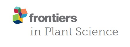 Cover of Frontiers in Plant Science, featuring study using the protocol.