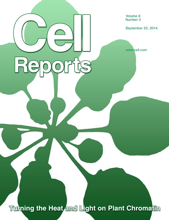 Cover of Cell Reports, featuring study using the protocol.