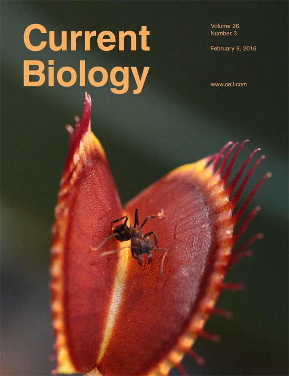Cover of Current Biology, featuring study using the protocol.