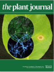 Cover of The Plant Journal, featuring study using the protocol.