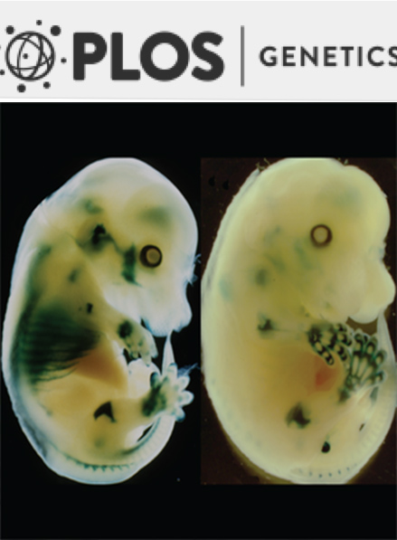 http://www.ncbi.nlm.nih.gov/pubmed/27870853
