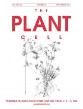 Cover of The Plant Cell, featuring study using the protocol.