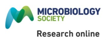 Cover of Microbiology, featuring study using the protocol.