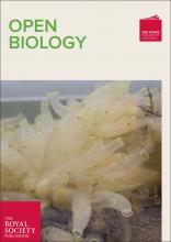 Cover of Open Biology, featuring study using the protocol.