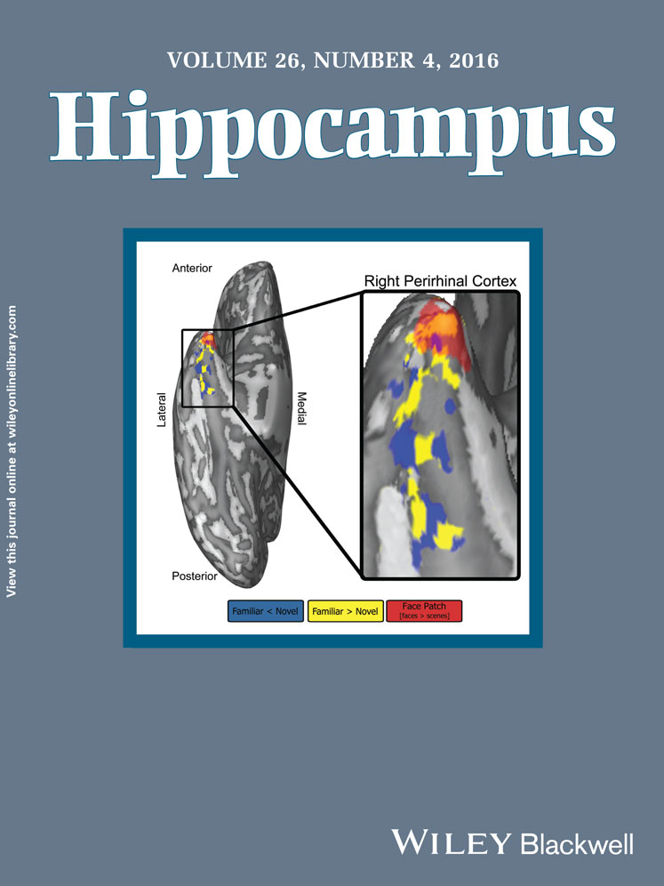 Cover of Hippocampus, featuring study using the protocol.