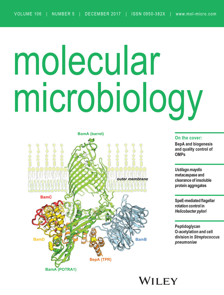 Cover of Molecular Microbiology, featuring study using the protocol.