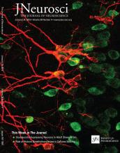 Cover of The Journal of Neuroscience, featuring study using the protocol.