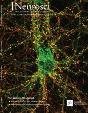 Cover of The Journal of Neuroscience, featuring study using the protocol.