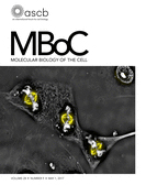 Cover of Molecular Biology of the Cell, featuring study using the protocol.