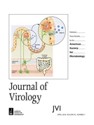 Cover of Journal of Virology, featuring study using the protocol.