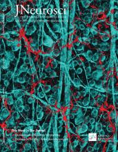 Cover of The Journal of Neuroscience, featuring study using the protocol.