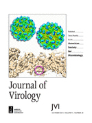Cover of Journal of Virology, featuring study using the protocol.