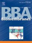 Cover of Biochimica et Biophysica Acta (BBA) - Biomembranes, featuring study using the protocol.
