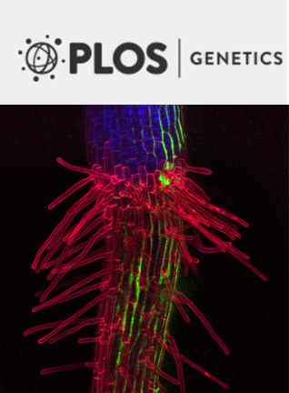 Cover of PLOS ONE, featuring study using the protocol.