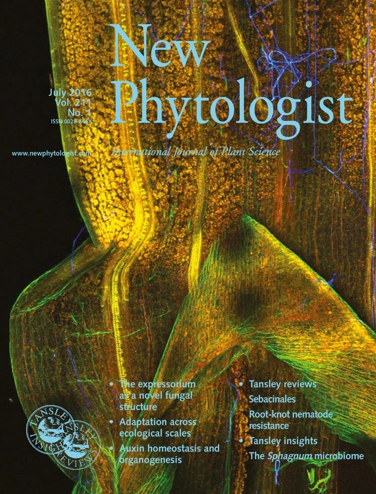 Cover of New Phytologist, featuring study using the protocol.