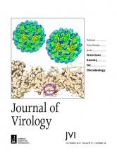Cover of Journal of Virology, featuring study using the protocol.