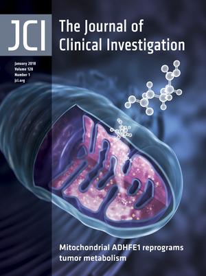 Cover of The Journal of Clinical Investigation, featuring study using the protocol.