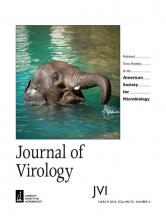Cover of Journal of Virology, featuring study using the protocol.