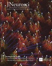Cover of The Journal of Neuroscience, featuring study using the protocol.