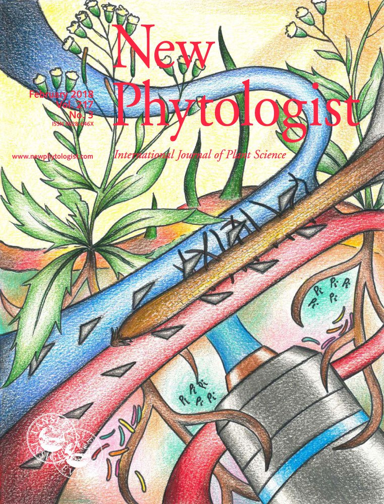 Cover of New Phytologist, featuring study using the protocol.