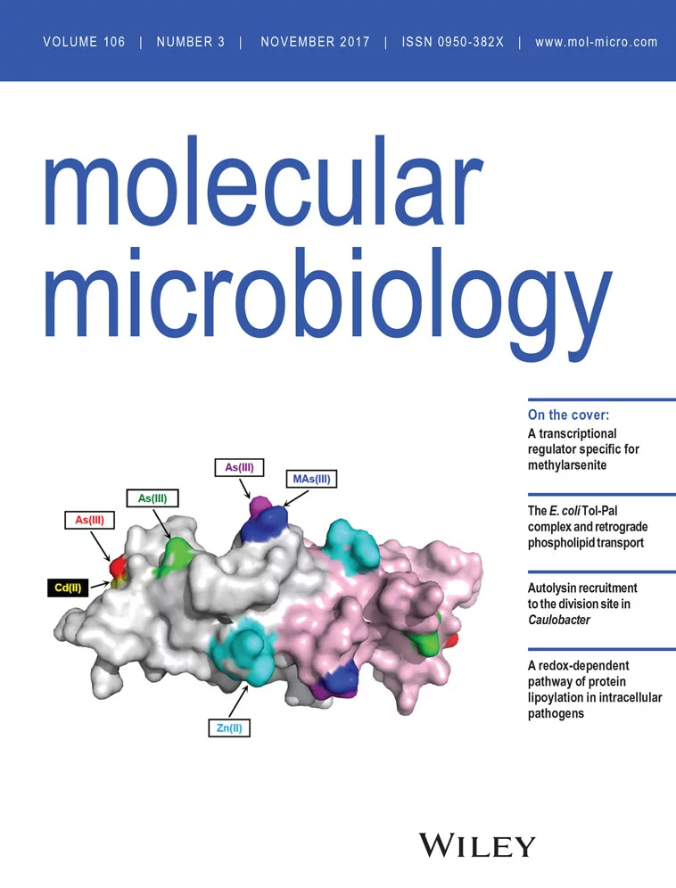Cover of Molecular Microbiology, featuring study using the protocol.