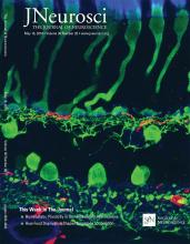 Cover of The Journal of Neuroscience, featuring study using the protocol.