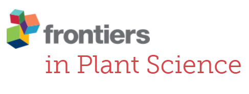 Cover of Frontiers in Plant Science, featuring study using the protocol.