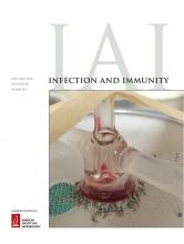 Cover of Infection and Immunity, featuring study using the protocol.