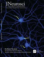 Cover of The Journal of Neuroscience, featuring study using the protocol.