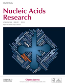 Cover of Nucleic Acids Research, featuring study using the protocol.