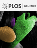 Cover of PLOS Genetics, featuring study using the protocol.