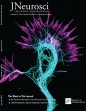 Cover of The Journal of Neuroscience, featuring study using the protocol.